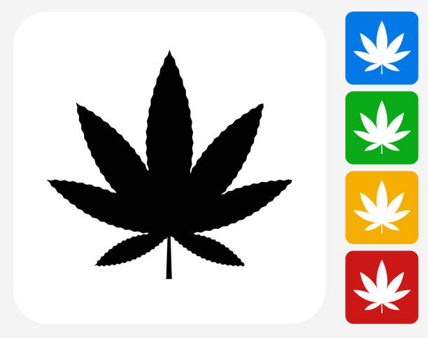 Marijuana Icon Flat Graphic Design Marijuana Icon. This 100% royalty free vector illustration features the main icon pictured in black inside a white square. The alternative color options in blue, green, yellow and red are on the right of the icon and are arranged in a vertical column. weed leaf stock illustrations