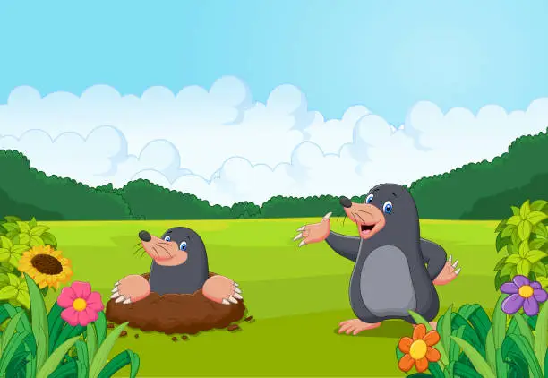 Vector illustration of Cartoon happy mole in the forest