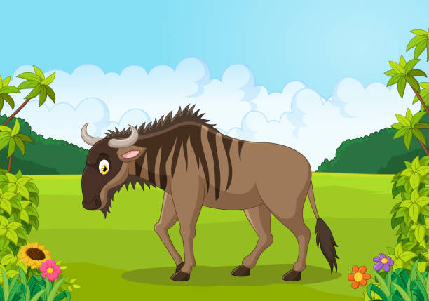 Cartoon animal Wildebeest africa, animal, big, cartoon, character, eye, fast, fingernails, flower, foot, forest, fun, funny, hairy, happy, herbivorous, horns, illustration, jungle, large, mascot, run, safari, savanna, side, smile, south, step, strong, tail, toenails, tough, vector, walk, wildebeest wildebeest running stock illustrations