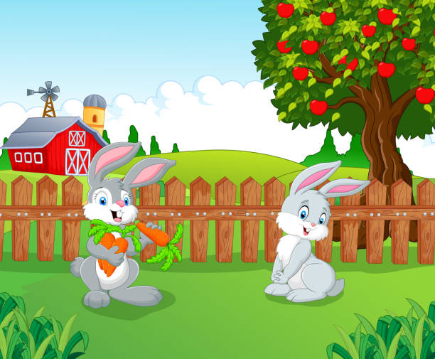Cartoon Little Bunny In The Farm Stock Illustration - Download Image Now -  Carrot, Rabbit - Animal, Nature - iStock