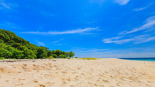 istock Andaman sea, Lipe island , Thailand 487585601