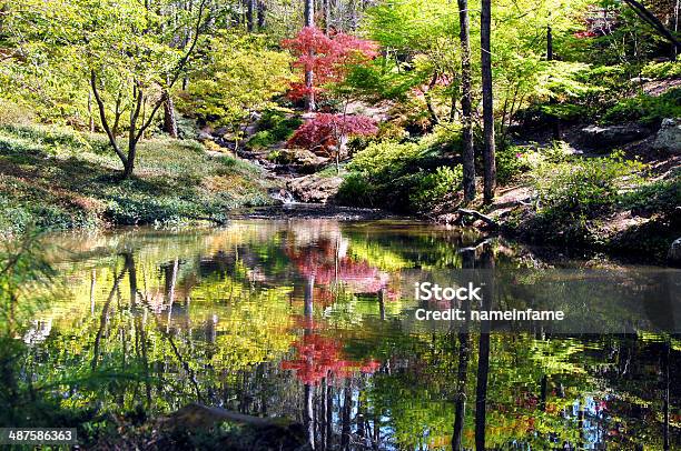 Calm Still And Peaceful Stock Photo - Download Image Now - Arkansas, Hot Spring, Landscape - Scenery
