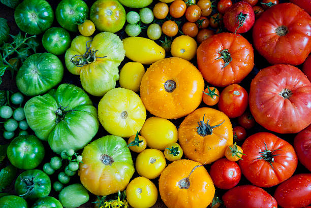 Tomatoes Fresh heirloom tomatoes background, organic produce at a Farmer's market. Tomatoes rainbow. agricultural fair photos stock pictures, royalty-free photos & images