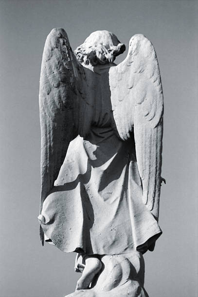 istock Wings of an Angel from Back 487587527