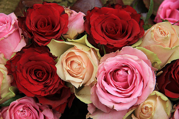 istock Wedding flowers in pink and red 487588769