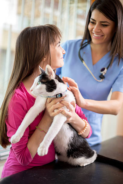 istock Girl calm down her sick cat in veterinary clinic 487588834