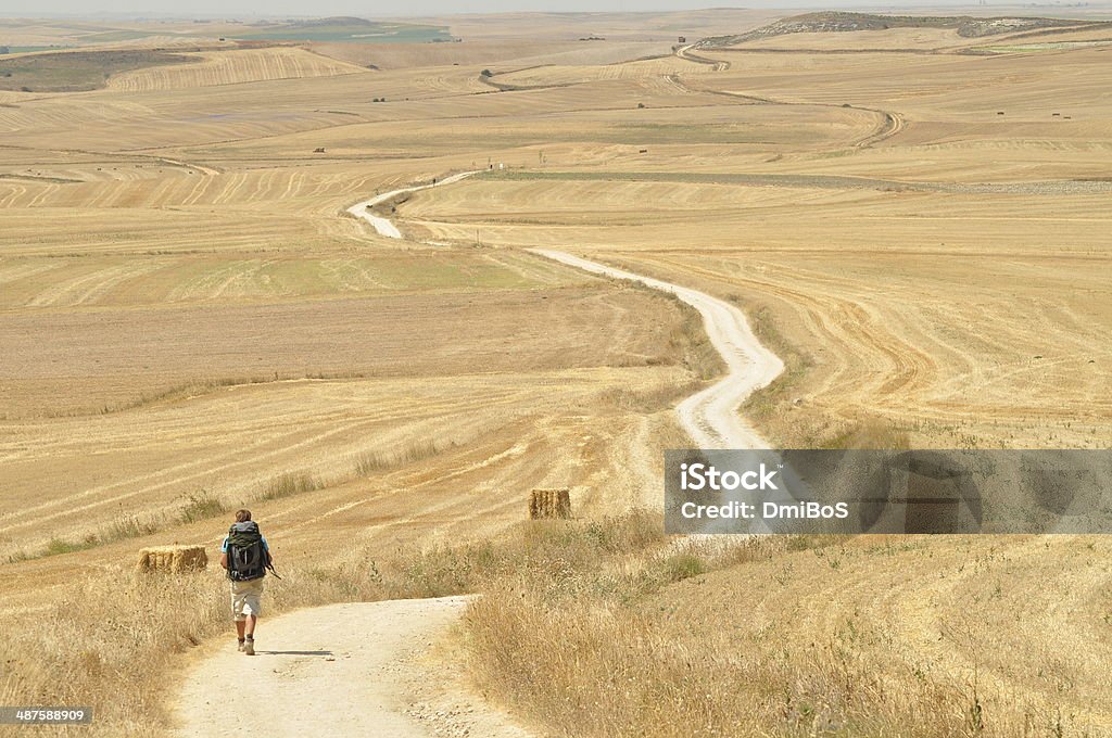 Walking during pilgrimage Cammino de Santiago de Compostela Boy walking during the pilgrimage Cammino de Santiago de Compostela - Spain.  Pilgrimage Stock Photo