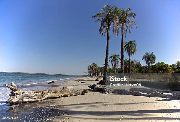Beach Stock Photo - Download Image Now - Casamance, Beach, Africa