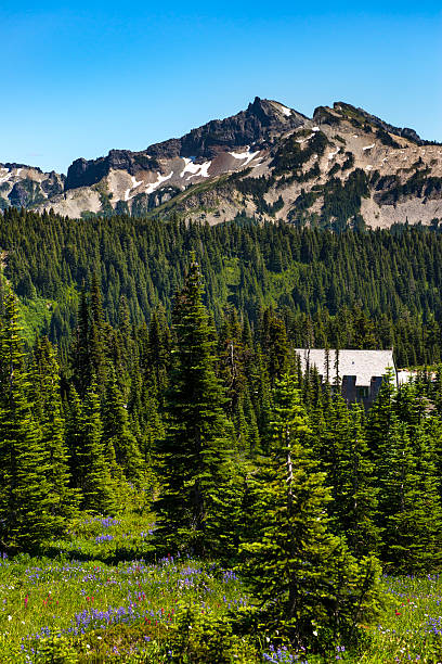 istock Another mountain in Mt.Rainer National Park 487594126