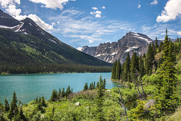 istock Josephine Lake, Montana 487597436