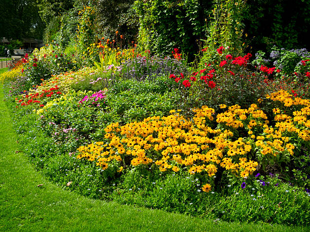 A brightly coloured flowerbed filled with a large variety of border plants in a London park.