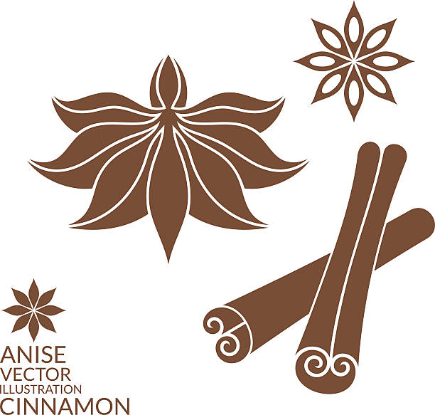 Cinnamon. Anise. Isolated on white background (EPS) + ZIP - alternate file (CDR)  star anise stock illustrations