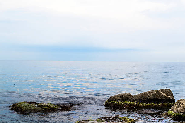 istock Black Sea in Yalta 487602898