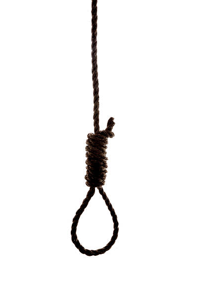Silhouette of a Hangman's Noose Isolated on White Authentic frayed roope hangman's noose isolated on white hangman stock pictures, royalty-free photos & images