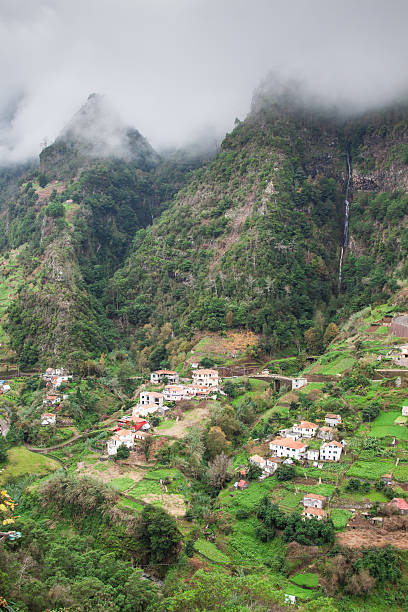 istock Cultivated terraced fields on the cliff of Madeira 487605321