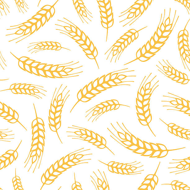 ilustraciones, imágenes clip art, dibujos animados e iconos de stock de patrón perfecto. - whole wheat