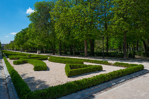 istock Avenue with statues in the Retiro Park in Madrid 487605635