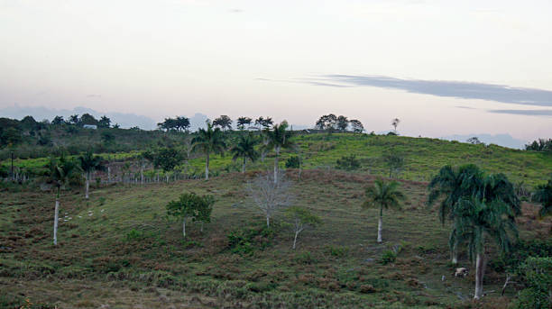 istock caribbean farmland 487606511