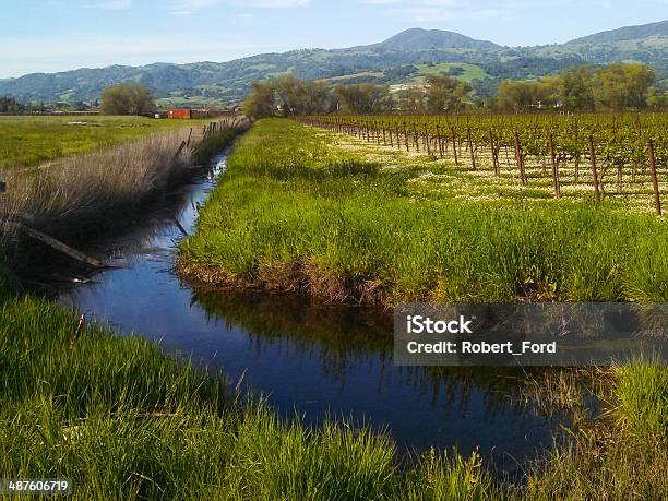 Drainage And Irrigation Canal Alexander Valley Healdsburg California Stock Photo - Download Image Now