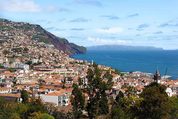 istock Downtown view Funchal and desert island 487607203