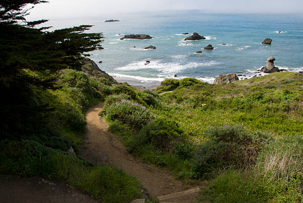 istock Coastal trail and beach Sonoma County California 487607361