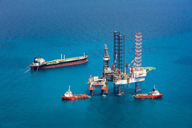 offshore oil drilling rig-plattform - medium group of animals stock-fotos und bilder