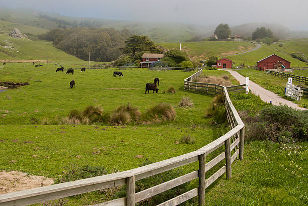 Fences and Dairy Farm Sonoma County Coast California