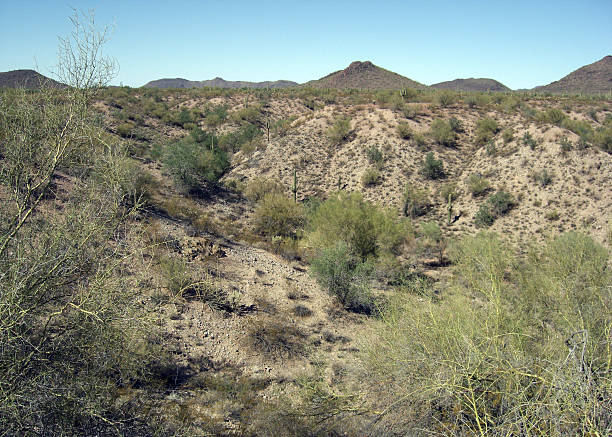 desert terrain stock photo