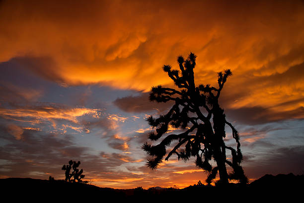 istock Ancient in the Land of Fire 487611237
