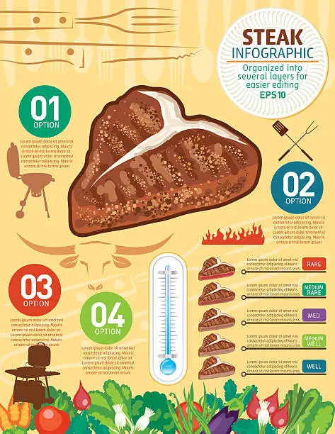 Vector illustration of Steak Cooking Food Infographic