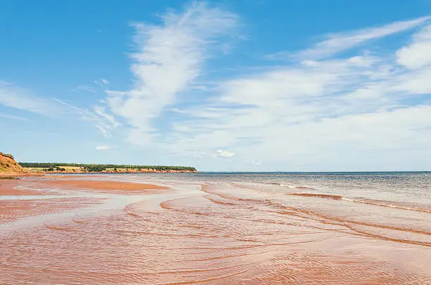 Photo of Sally Beach