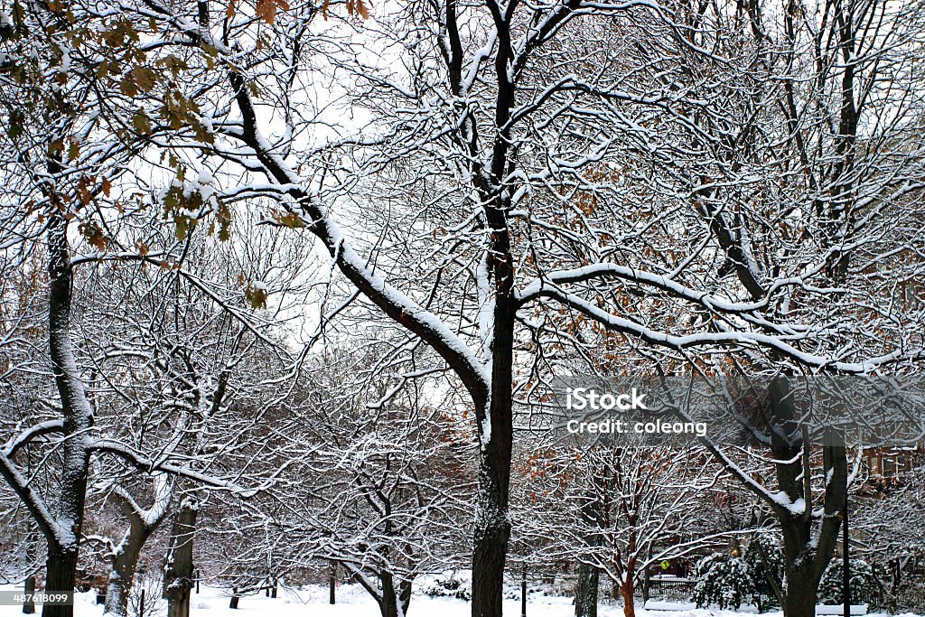 Boston de inverno - Foto de stock de Arquitetura royalty-free