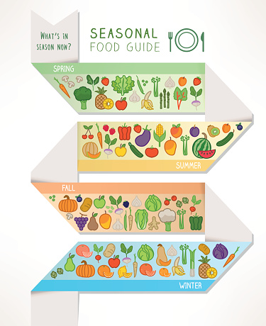 Seasonal food and produce guide, vegetables and fruits icons set and seasons infographics on nutrition and farming