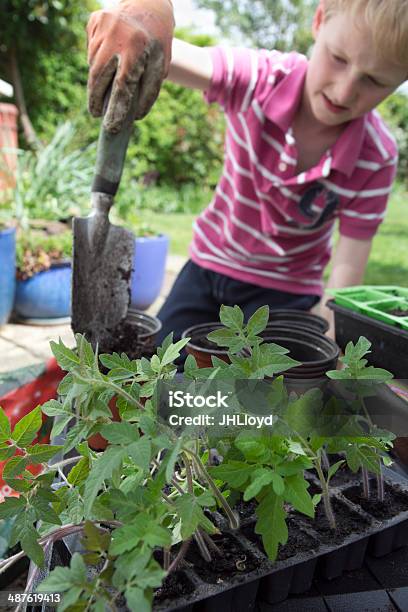 Child Gardening Stock Photo - Download Image Now - Adjusting, Agriculture, Boys