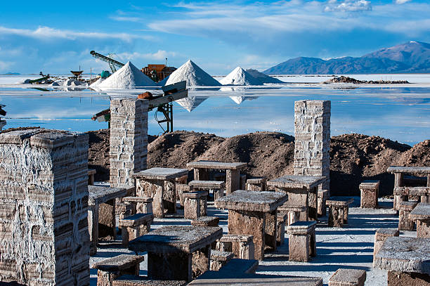 Salinas Grandes, Argentina Andes Salinas Grandes on Argentina Andes is a salt desert in the Jujuy Province. More significantly, Bolivas Salar de Uyuni is also located in the same region. lakebed stock pictures, royalty-free photos & images