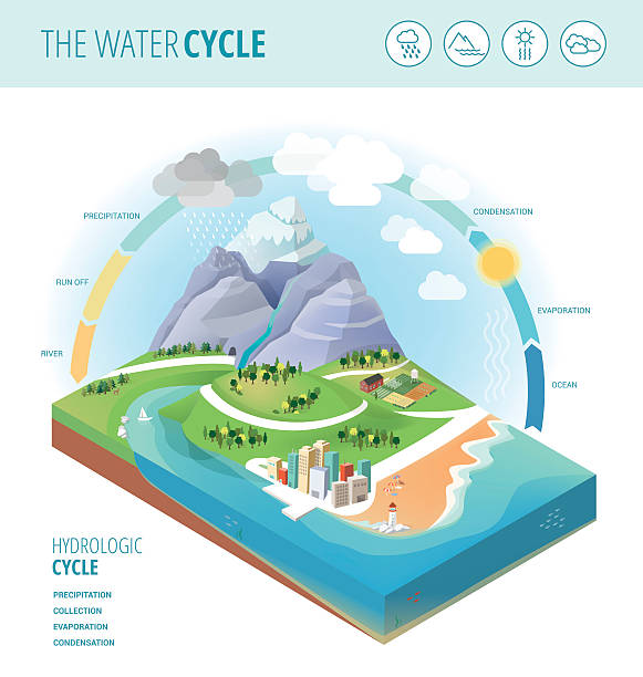 stockillustraties, clipart, cartoons en iconen met the water cycle - waterkringloop