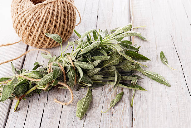 istock Bunch of fresh organic sage on wooden table 487619617