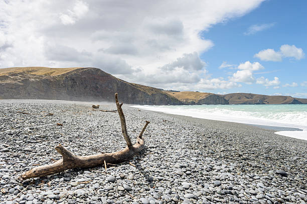istock Birdling's Flat, New Zealand 487619763