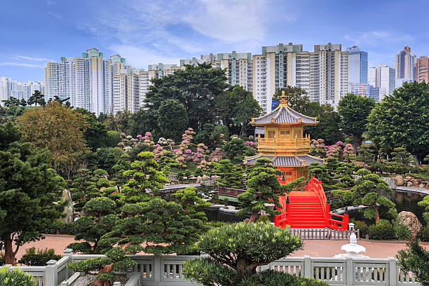 istock Nan Lian Garden in Hong Kong 487620429