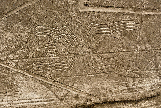 araignée des lignes de nazca - birdview photos et images de collection