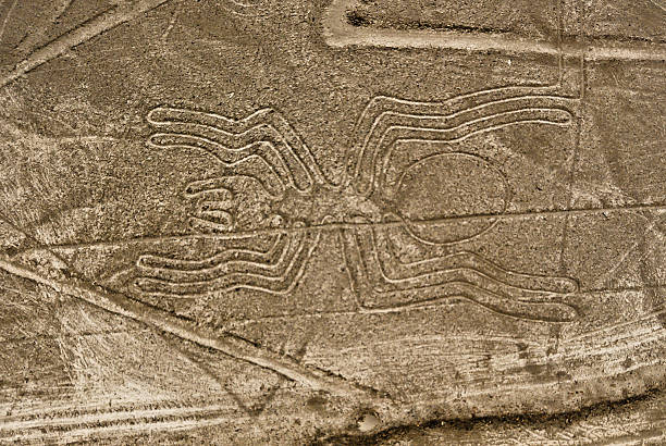 ragno linee di nazca - birdview foto e immagini stock