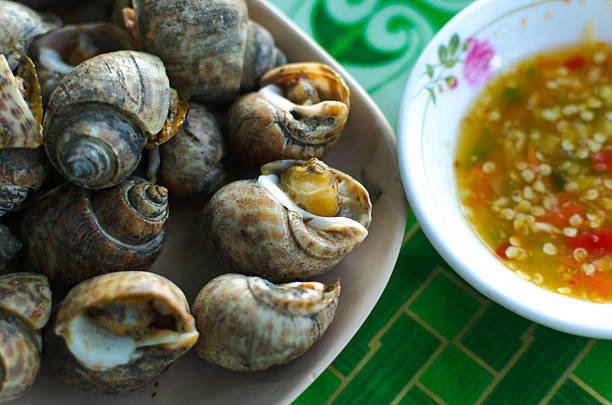 malhado babylon grelhado - sea snail - fotografias e filmes do acervo