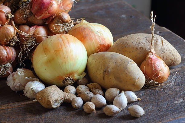 verduras - escalonia fotografías e imágenes de stock