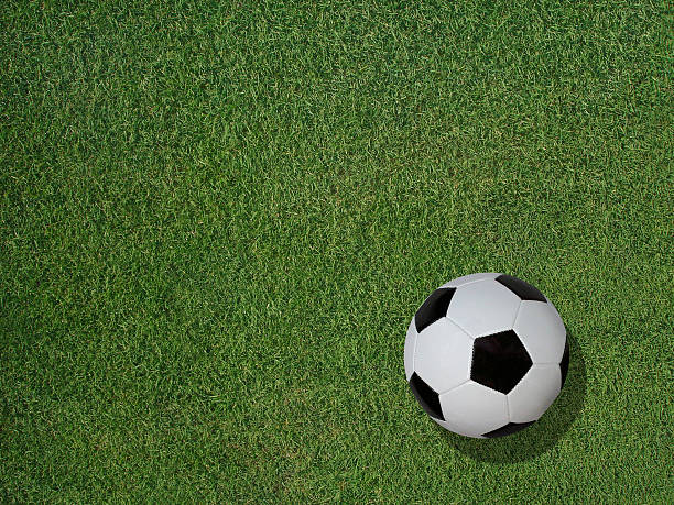 istock Soccer Ball on Sports Turf Grass 487626748