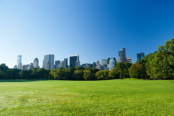istock green lung of manhattan 487627908