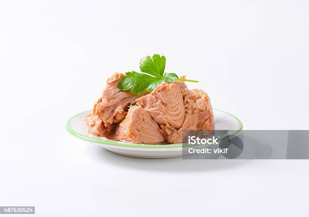 Canned Tuna Stock Photo - Download Image Now - Tuna - Seafood, Plate, Tin