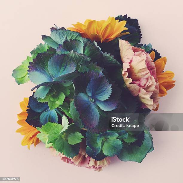 Fresh Flowers Still Life Stock Photo - Download Image Now - Flower, Still Life, Bouquet