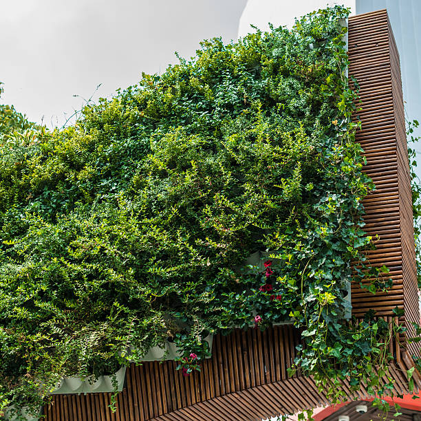 Vertical garden. This is a street decoration created by municipality, not part of a private location.
