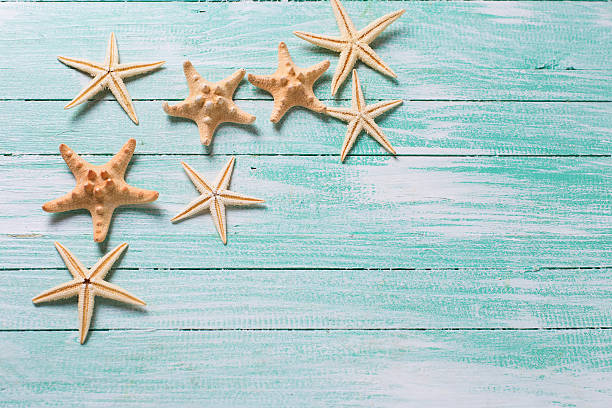 istock Marine items on wooden background. 487635990