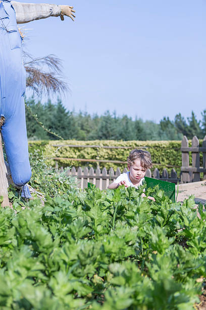 istock young boy cultivating the garden 487636520